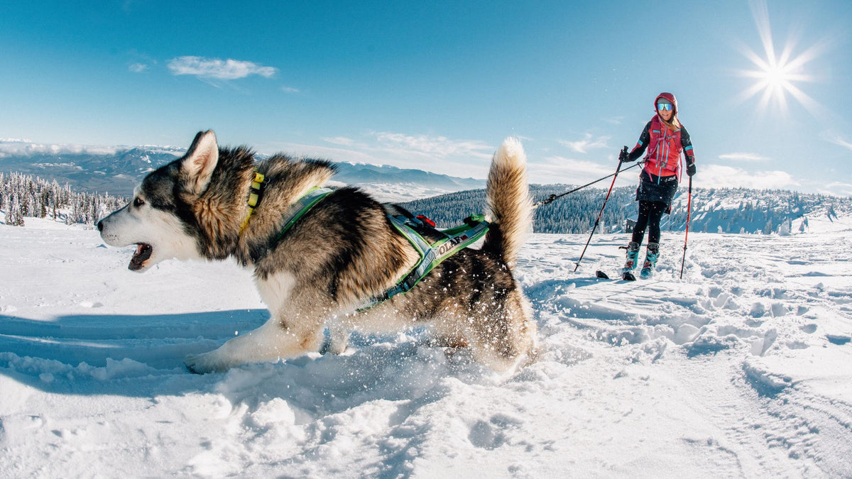 Blizzard® Thermal Comfort: How to stay comfortable in warm clothes during winter sports