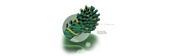 Dri-release® fabric keeps you cool, dry and fresh